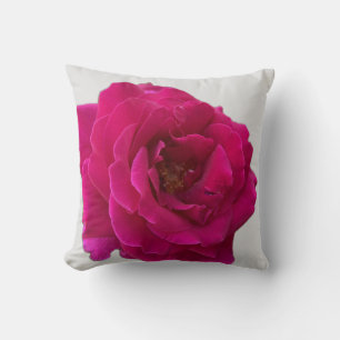 Beautiful Vibrant Hot Pink Rose in Full Bloom Throw Pillow