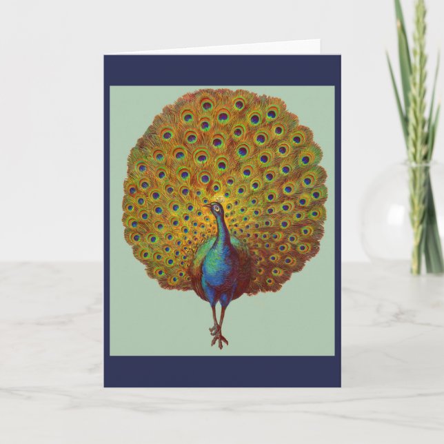 beautiful Victorian peacock print Card (Front)