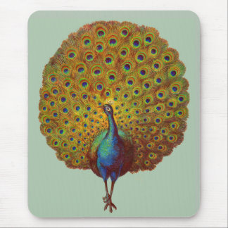 beautiful Victorian peacock print Mouse Pad