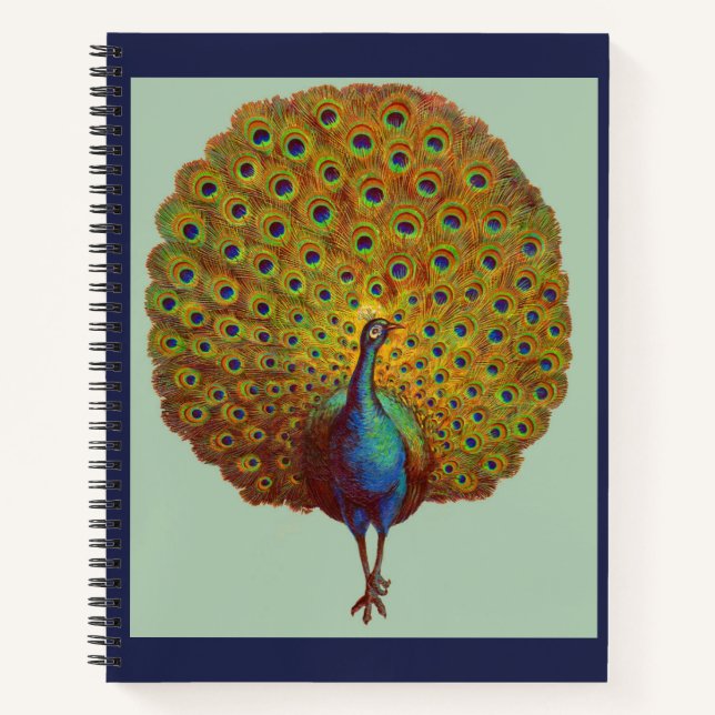 beautiful Victorian peacock print Notebook (Front)