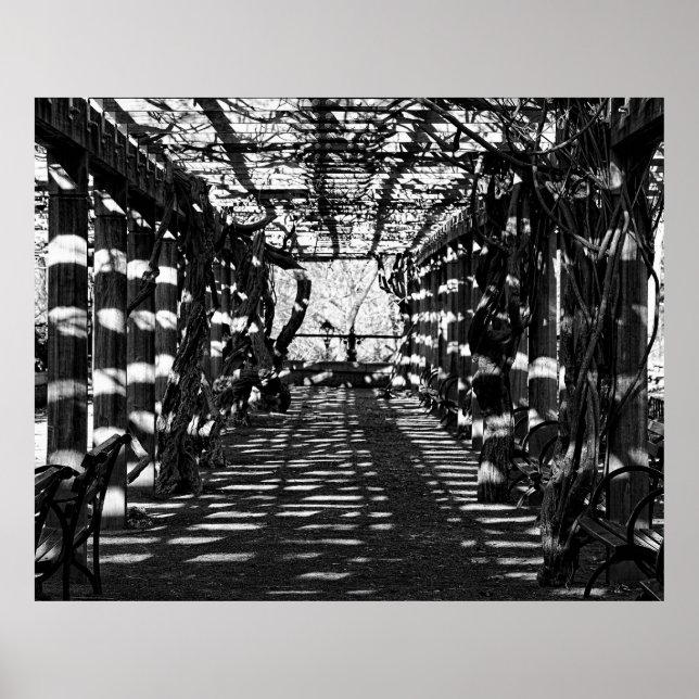 Beautiful View in Central Park, NYC Poster (Front)