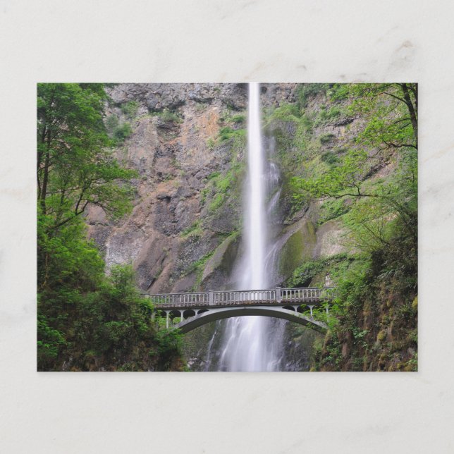 Beautiful View of Multnomah Falls, Oregon Postcard (Front)