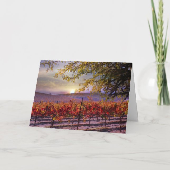 Beautiful Vineyard Happy Birthday Card (Front)