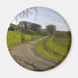 Beautiful Vineyard in Napa Valley California Magnet