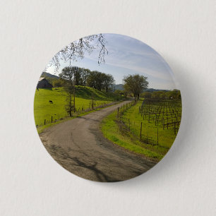 Beautiful Vineyard in Napa Valley California Pinback Button