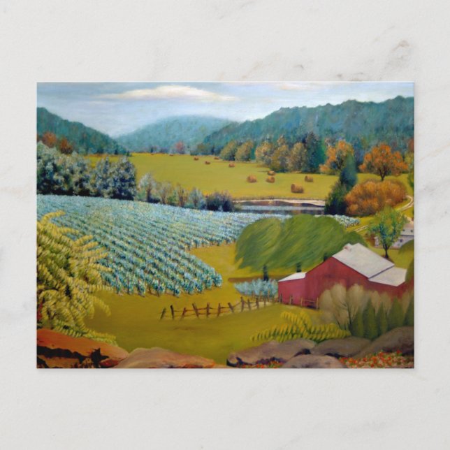 Beautiful Vineyard on Augusta Missouri Farm Postcard (Front)