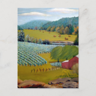 Beautiful Vineyard on Augusta Missouri Farm Postcard