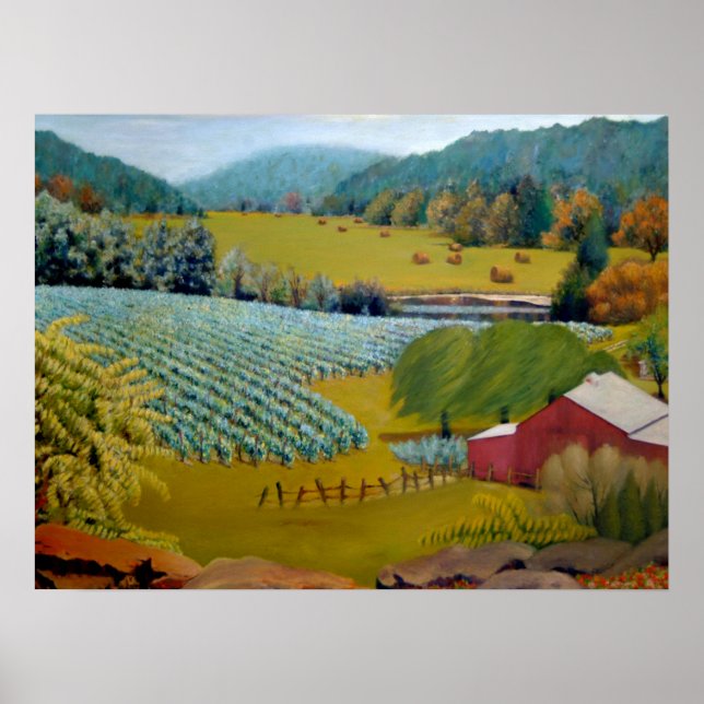 Beautiful Vineyard on Augusta Missouri Farm Poster (Front)