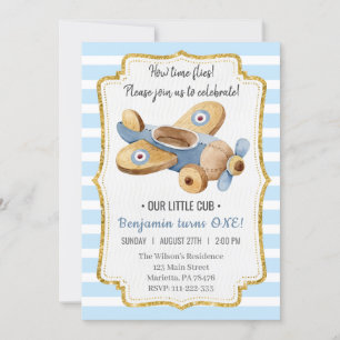 Beautiful Vintage Airplane Boy Toy Birthday Invita Invitation
