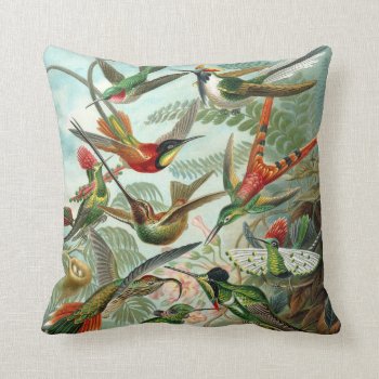 Beautiful Vintage Bird Cushion by VintageImagesOnline at Zazzle