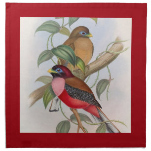Beautiful Vintage Bird Illustration and Red Border Cloth Napkin