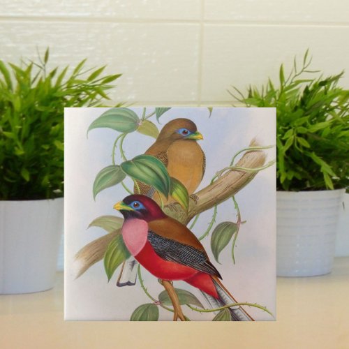 Beautiful Vintage Bird Illustration Colorful Ceramic Tile