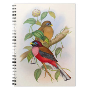 Beautiful Vintage Bird Illustration Colorful Notebook