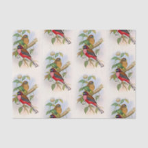 Beautiful Vintage Bird Illustration Decoupage