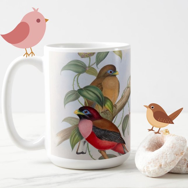 Beautiful Vintage Bird Illustration Mug (A charming, colorful vintage birds mug to brighten your tea or coffee break!)