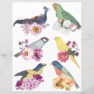 Beautiful vintage birds with flowers scrapbooking