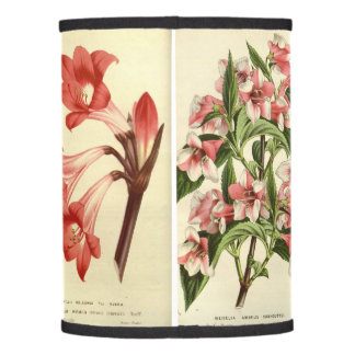Beautiful vintage botanical art flower lamp shade