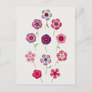 Beautiful Vintage Botanical Illustration Postcard