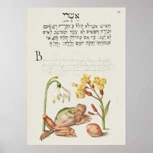 Beautiful Vintage Botanical Illustration Poster