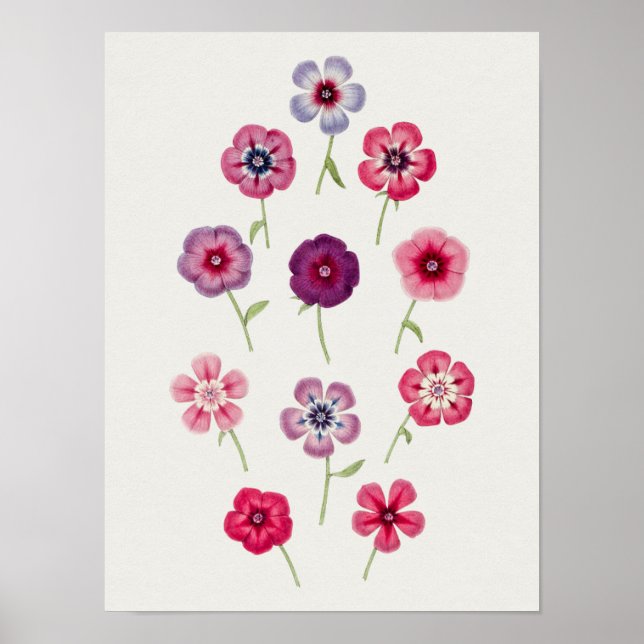 Beautiful Vintage Botanical Illustration Poster (Front)