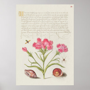 Beautiful Vintage Botanical Illustration Poster