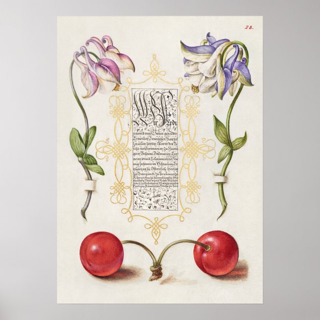 Beautiful Vintage Botanical Illustration Poster (Front)