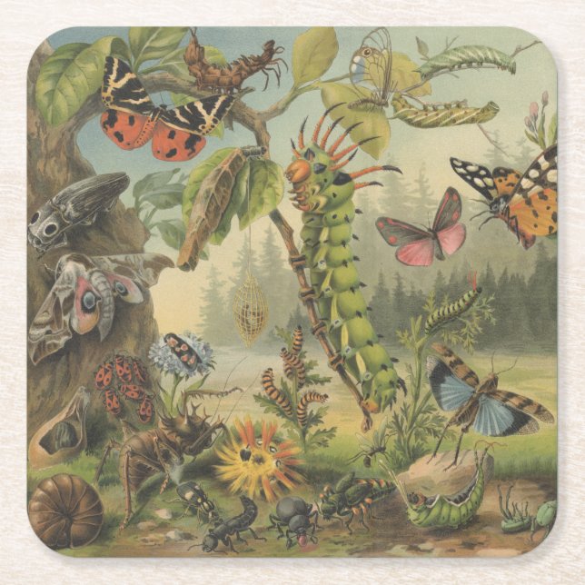 Beautiful Vintage Butterfly Insect Square Paper Coaster (Front)