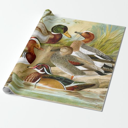 Beautiful Vintage Ducks At The Pond Decoupage Wrapping Paper