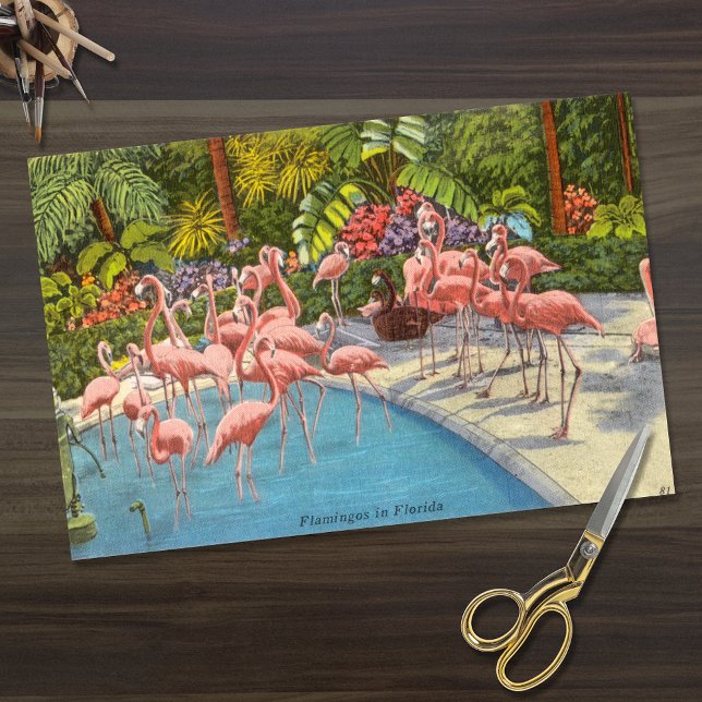 Beautiful Vintage Flamingos in Florida Tissue Paper (Creator Uploaded)
