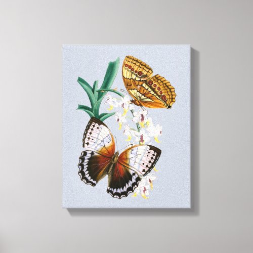 Beautiful Vintage Floral Butterfly Illustration Canvas Print