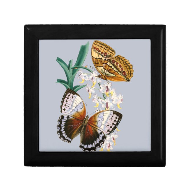 Beautiful Vintage Floral Butterfly Illustration Gift Box (Front)
