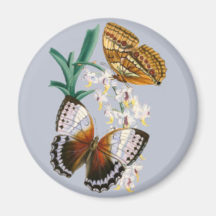 Beautiful Vintage Floral Butterfly Illustration Magnet