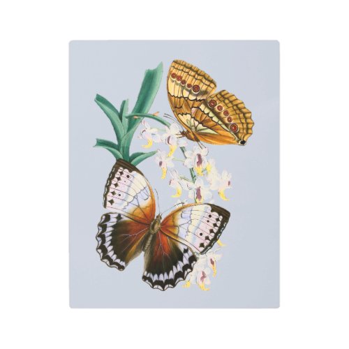 Beautiful Vintage Floral Butterfly Illustration Metal Print