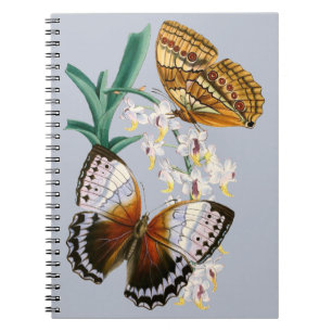 Beautiful Vintage Floral Butterfly Illustration Notebook