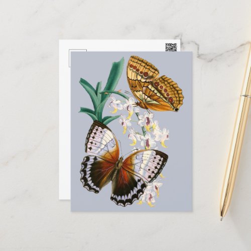 Beautiful Vintage Floral Butterfly Illustration Postcard