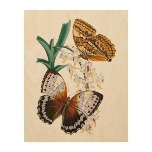 Beautiful Vintage Floral Butterfly Illustration Wood Wall Art