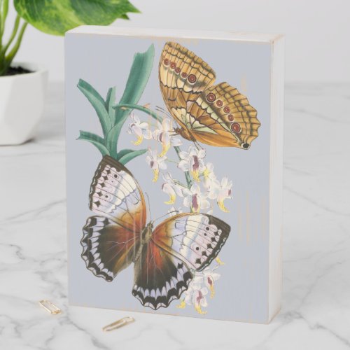 Beautiful Vintage Floral Butterfly Illustration Wooden Box Sign