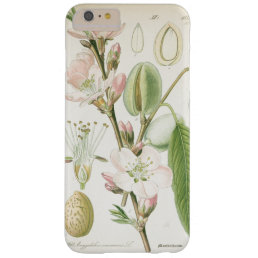 Beautiful vintage floral flower antique botanical barely there iPhone 6 plus case