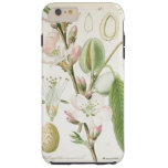Beautiful Vintage Floral Flower Antique Botanical Tough Iphone 6 Plus Case at Zazzle