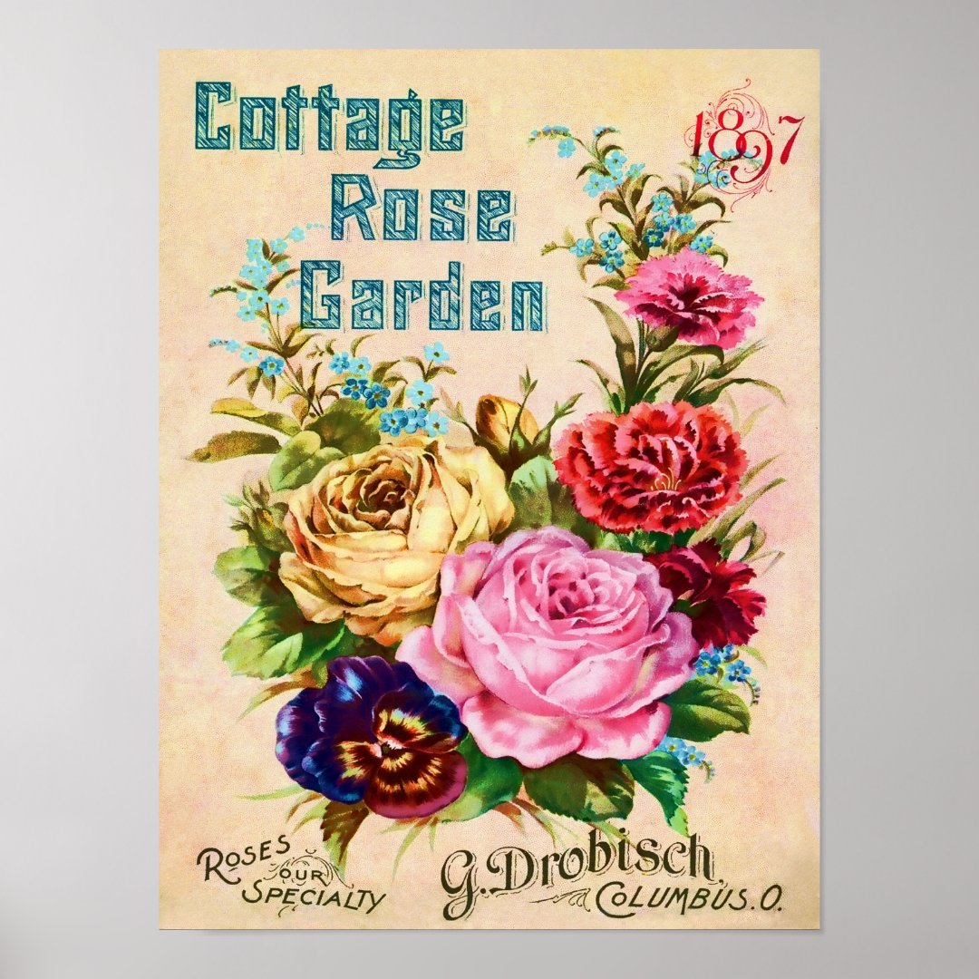 Beautiful Vintage Flower Catalog Advertisement Poster Zazzle