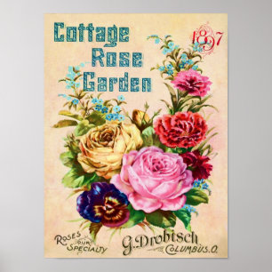 Beautiful Vintage Flower Catalog Advertisement Poster