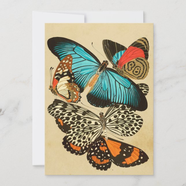Beautiful Vintage Garden Butterflies Card (Front)