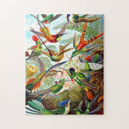 Beautiful Vintage Hummingbird Print Bird Puzzle