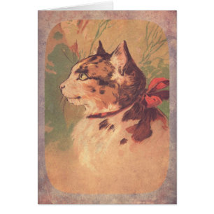 Beautiful Vintage Kitty Cards