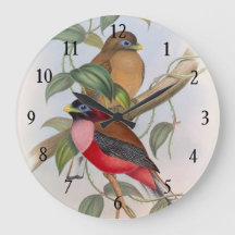 Beautiful Vintage Love Birds Acrylic Wall Clock