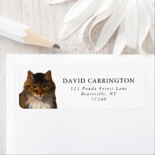 Beautiful Vintage Maine Coon Cat Portrait Painting Label
