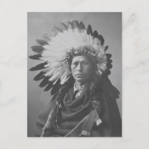 Beautiful Vintage Native American Portrait Postcar Postcard
