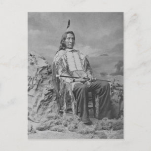 Beautiful Vintage Native American Portrait Postcar Postcard
