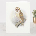Beautiful Vintage Painting Of A Barn Owl Card at Zazzle