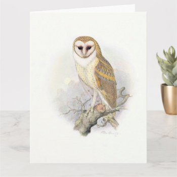 Beautiful Vintage Painting Of A Barn Owl Card by HistoryinBW at Zazzle